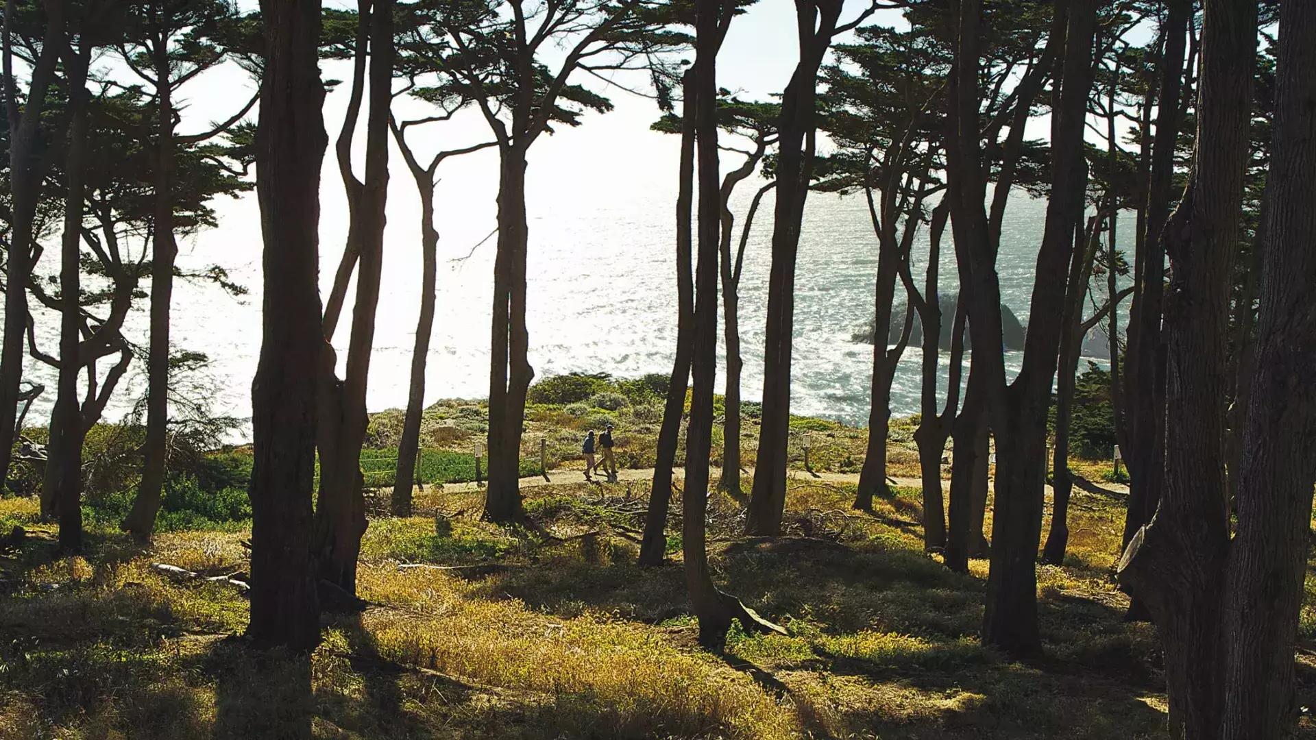 徒步徒步沿着内陆地区的一个森林地区徒步, mit dem Pazifischen Ozean im Hintergrund.